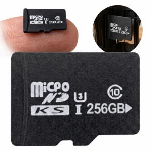 KINGSTON MICROSD 256GB CANVAS GO! PLUS GEN4 200/160 MB/S V30 A2 + ADAPTER